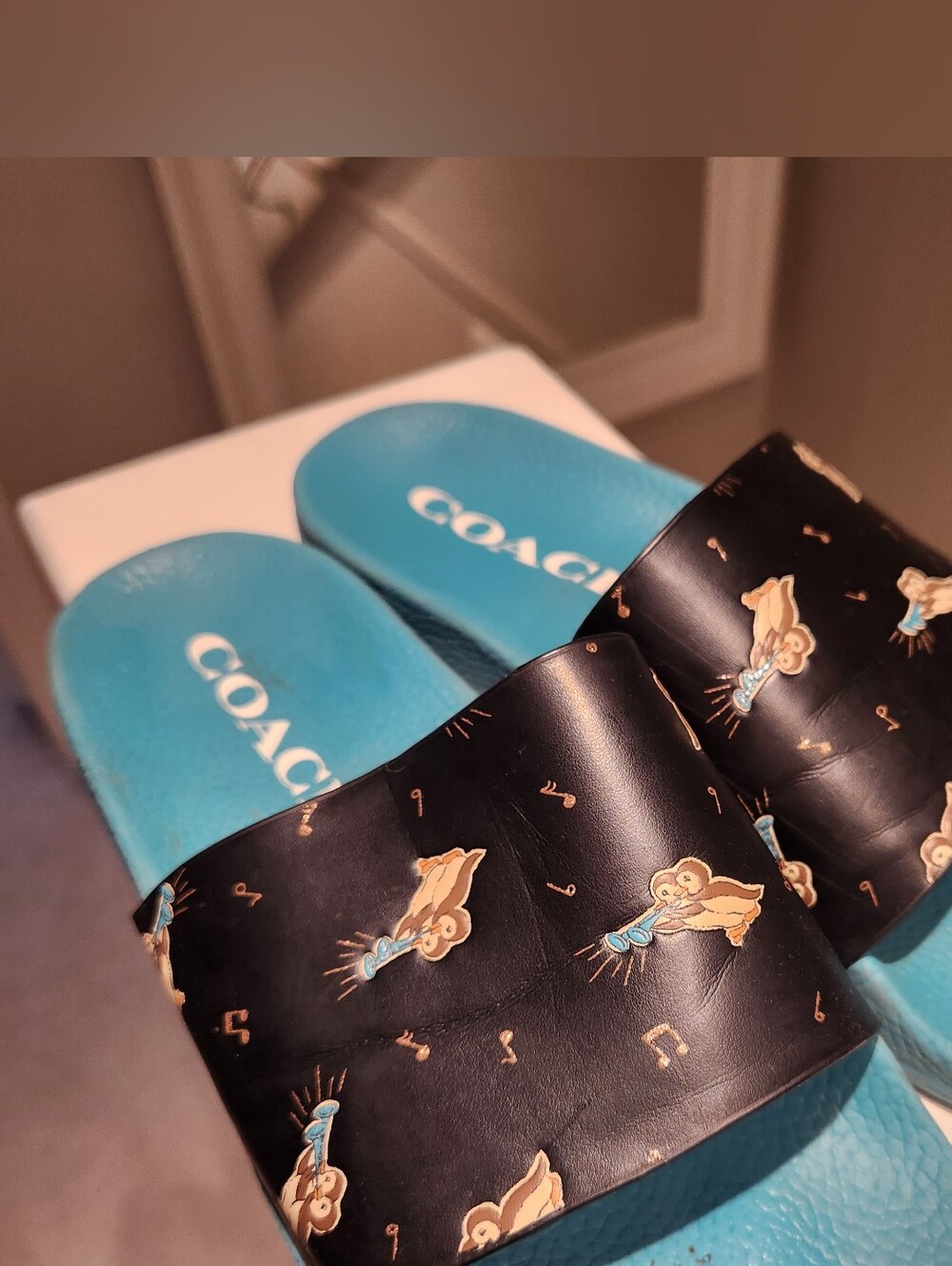 Coach Slides - Picture 4 of 5